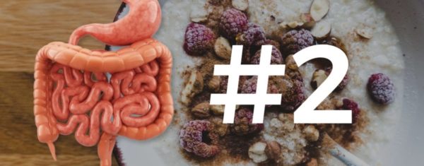 Črevný mikrobióm a zdravé trávenie II.: Prebiotiká / vláknina, symbiotiká a enzýmy
